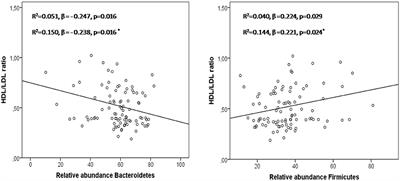 H. pylori Eradication Treatment Causes Alterations in the Gut Microbiota and Blood Lipid Levels